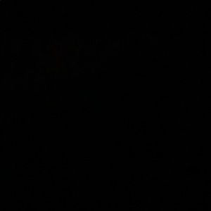 Meet your Posher, Angele